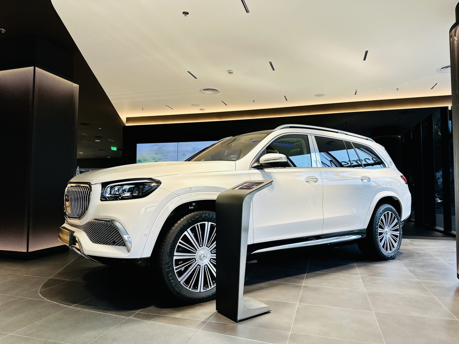 Mercedes-Maybach GLS 480 4MATIC - Ảnh 5