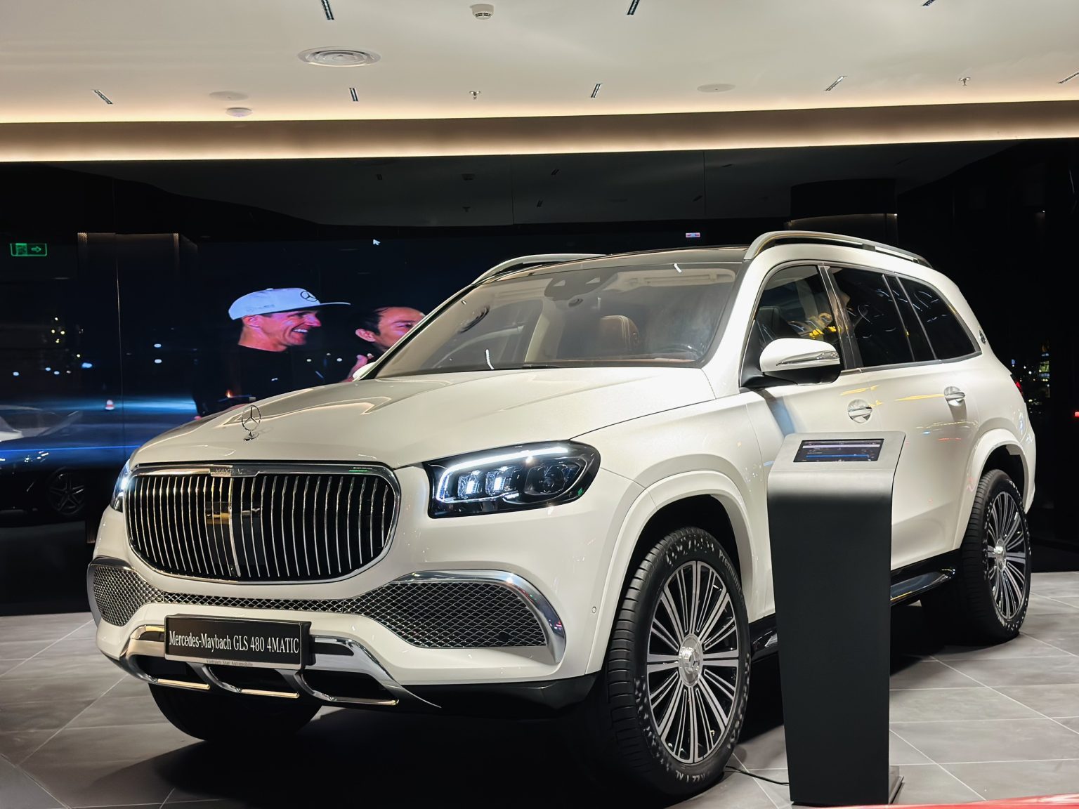 Mercedes-Maybach GLS 480 4MATIC - Ảnh 6
