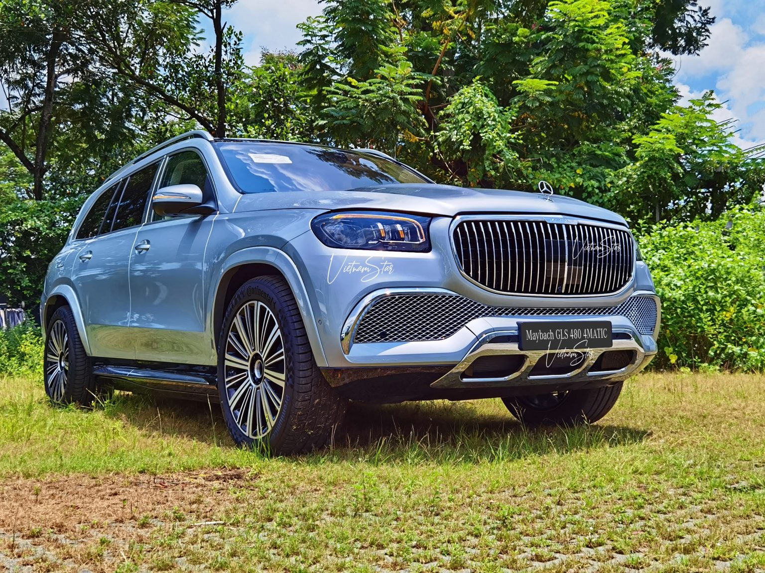 Mercedes-Maybach GLS 480 4MATIC - Ảnh 3