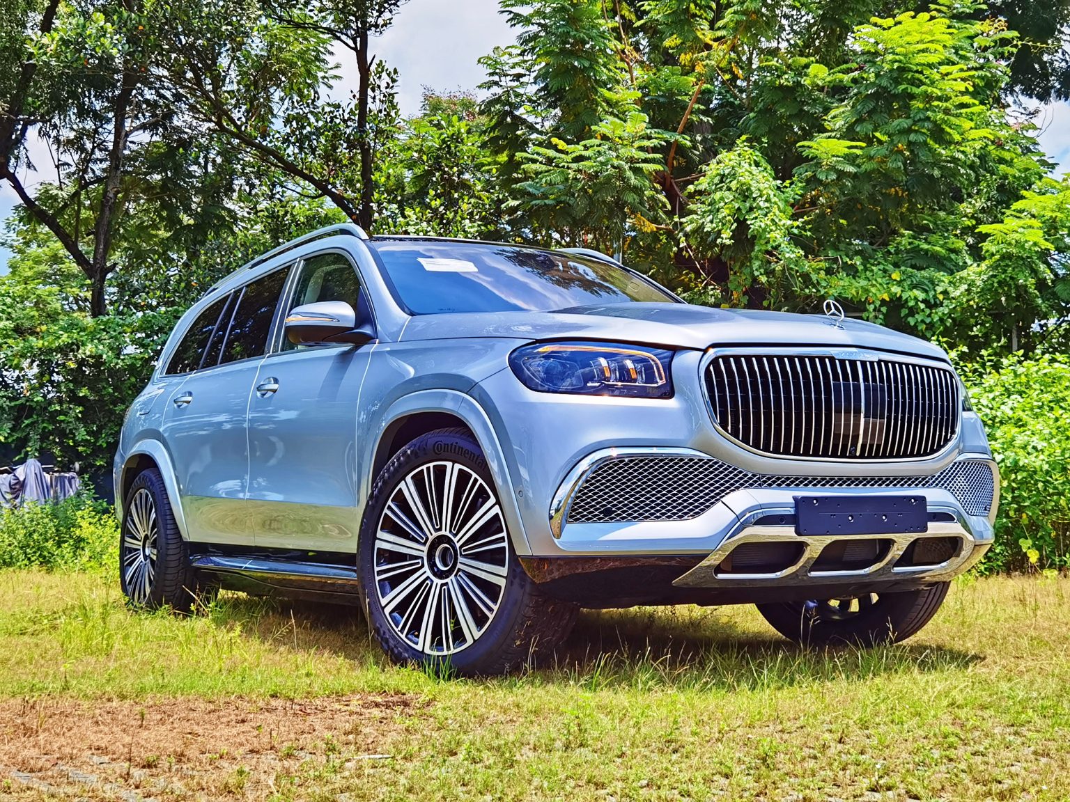 Mercedes-Maybach GLS 480 4MATIC - Ảnh 2